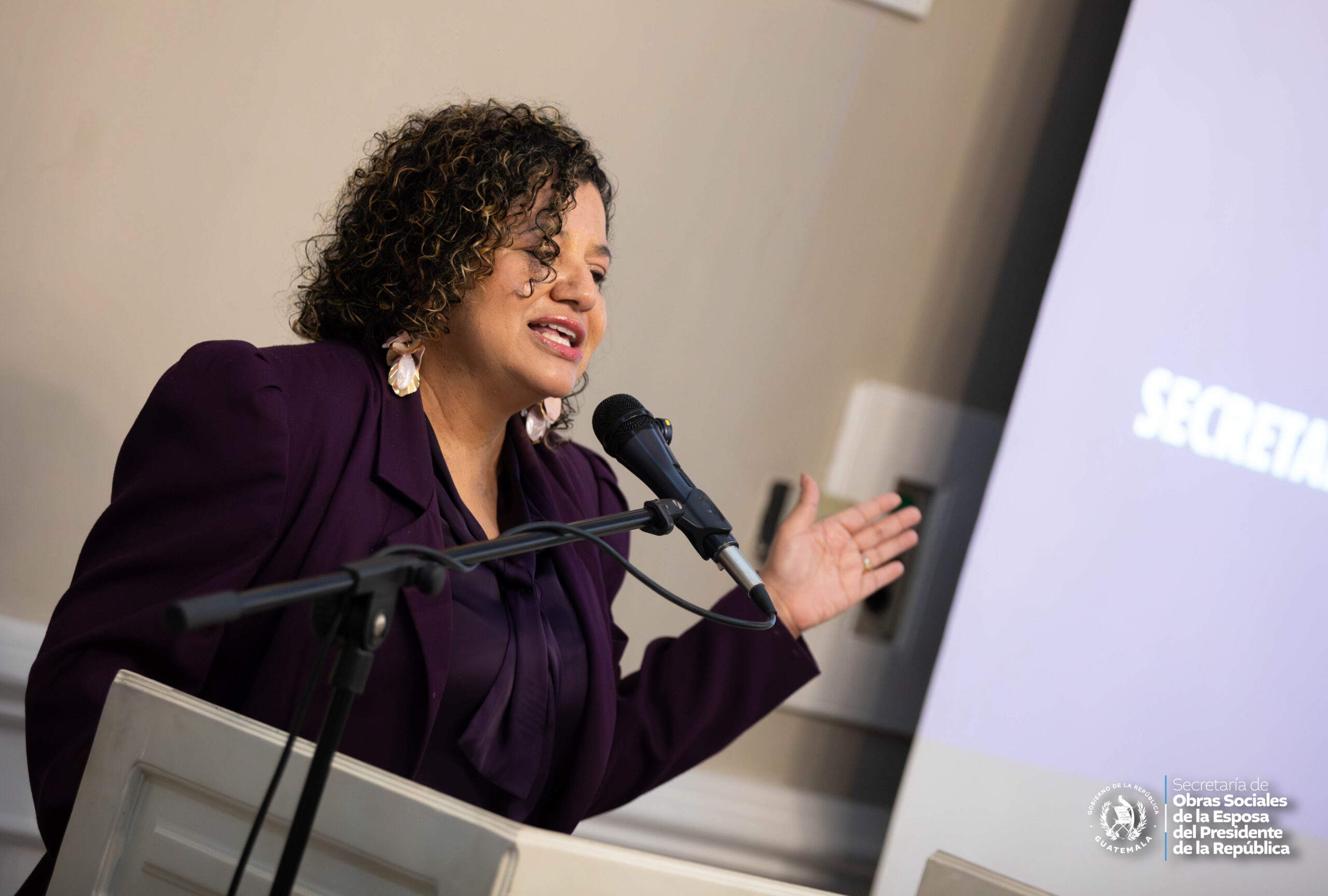 Actividad institucional SOSEP 1